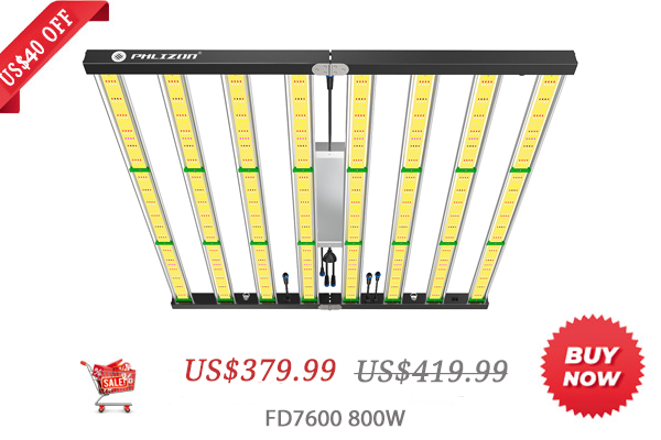 641386214_phb10d_led_grow_light-_2_bb041c28-0160-4663-a034-e7a5bc734daf(1).png.a4e075e2962b9406c1aae9d60f6170bf.png